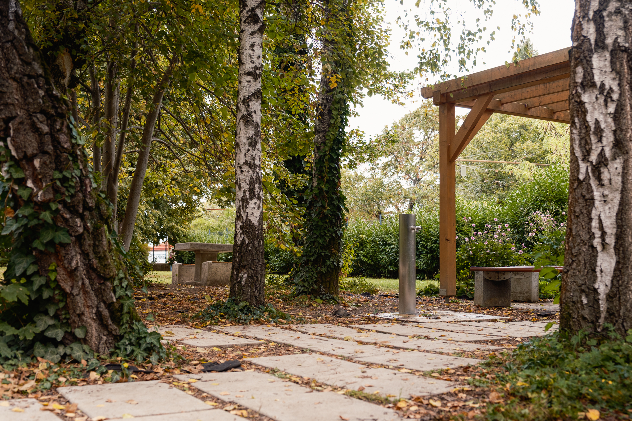 bratislava stare mestozs mudronova bratislava pri altanku | WebJET CMS