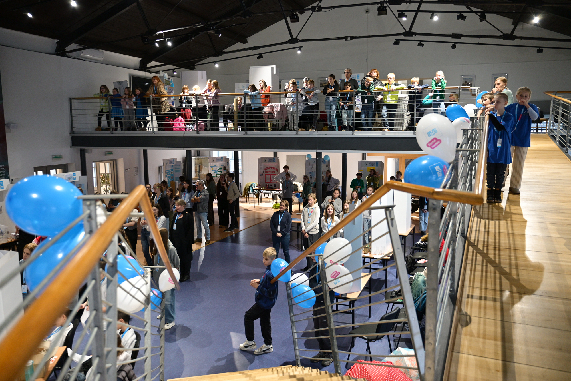 nz6 4132 | WebJET CMS